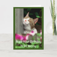 Cartão de Aniversário de Gato Feliz