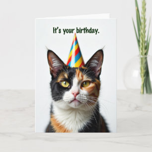 Cartão de Aniversário de Gato Festivo