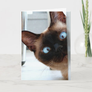 CARTÃO DE ANIVERSÁRIO DE GATO SIAMESE FOFO