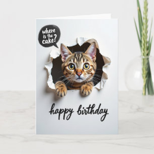 Cartão de Aniversário de Gato Tabby Brincalhão