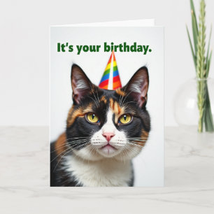 Cartão de Aniversário de Gato Tri Color