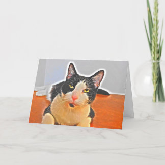 Cartão de Aniversário de Gato Tuxedo