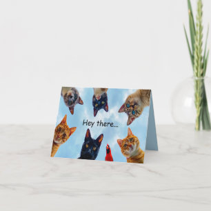 Cartão de aniversário de gatos e cardeais