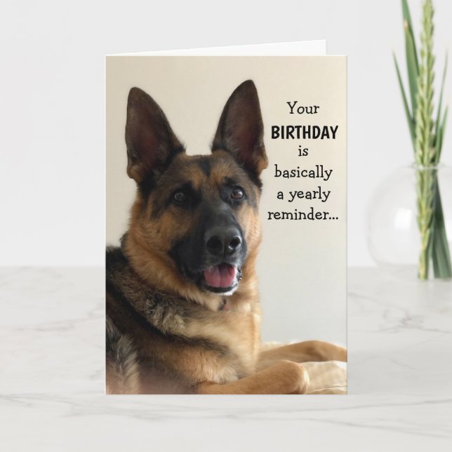 Cartão de Aniversário de German shepherd Engraçado (Frente)