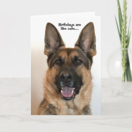 Cartão de Aniversário de German shepherd Engraçado
