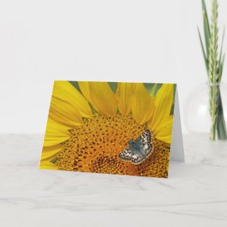 Cartão de Aniversário de Girassol e Borboleta