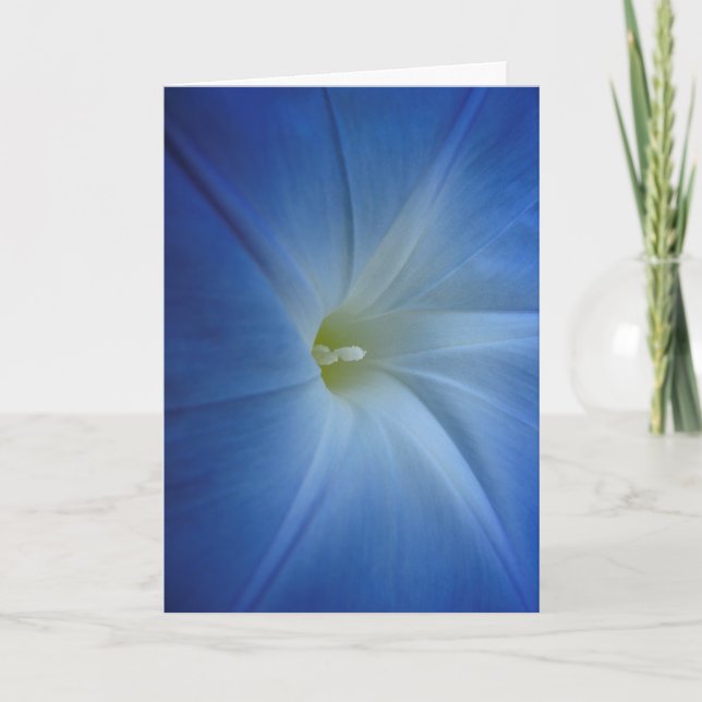 Cartão de Aniversário de Glória de Manhã Celestial (Frente)