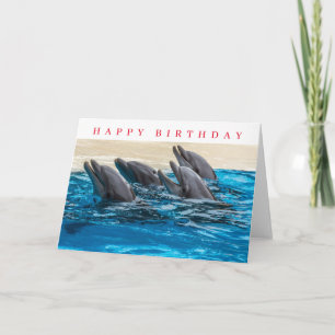 Cartão de aniversário de golfinhos