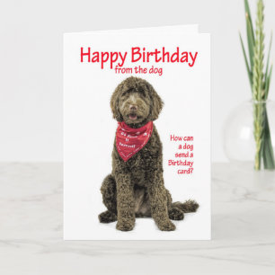 Cartão de aniversário de Labradoodle