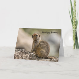 Cartão de Aniversário de Marmota