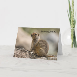 Cartão de Aniversário de Marmota