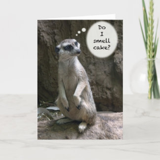 Cartão de aniversário de Meerkat