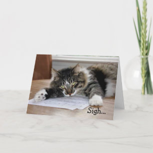 Cartão de Aniversário de Música Cat Birthday Song