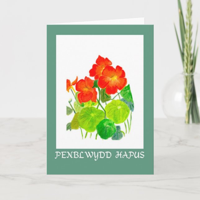 Cartão de Aniversário de Nasturtiums: Saudação Gal (Frente)