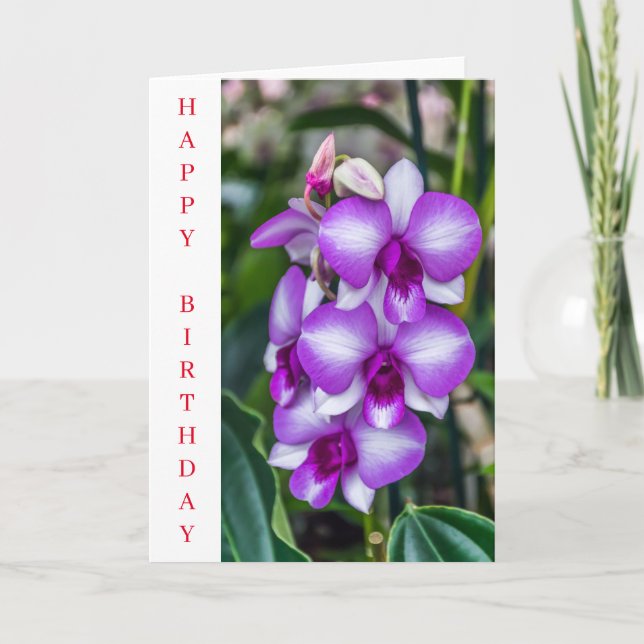 Cartão de aniversário de orquídeas brancas e roxas (Frente)