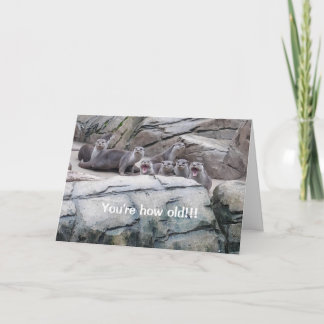 Cartão de aniversário de Otters