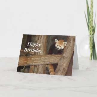 Cartão de Aniversário de Panda Subindo