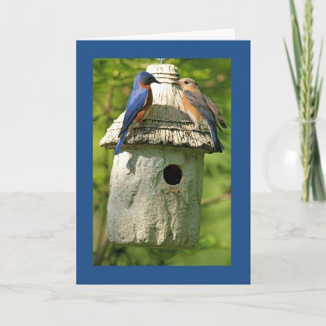 cartão de aniversário de pássaro azul (Frente)