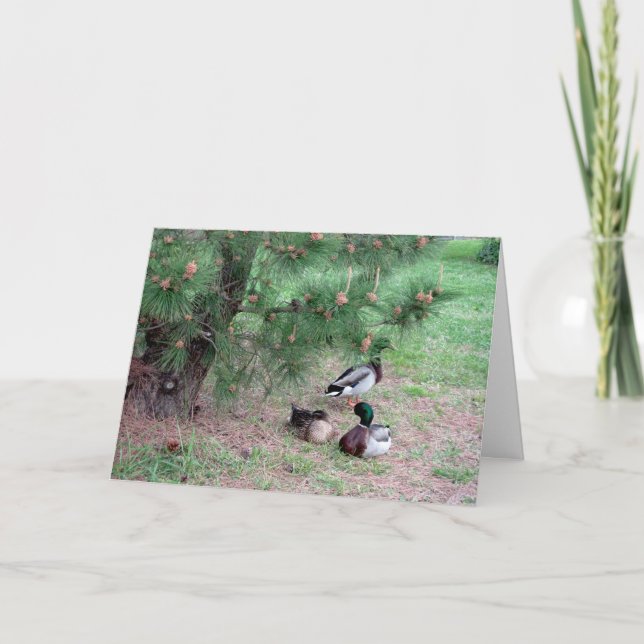 Cartão de Aniversário de Patos e Pinheiros com Bíb (Frente)