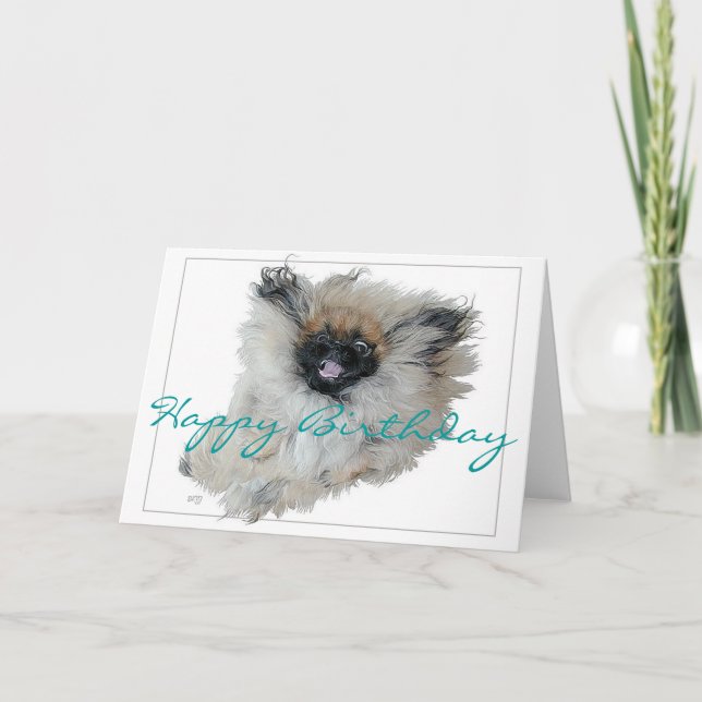 Cartão de Aniversário de Pekingese (Frente)