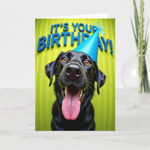 Cartão de Aniversário de Pet Sorridente