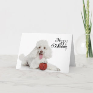 Cartão de Aniversário de Poodle