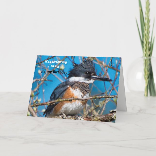 Cartão de Aniversário de Pose de Pássaro em Greve (Frente)