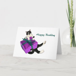 Cartão de aniversário de presente para gatos bra