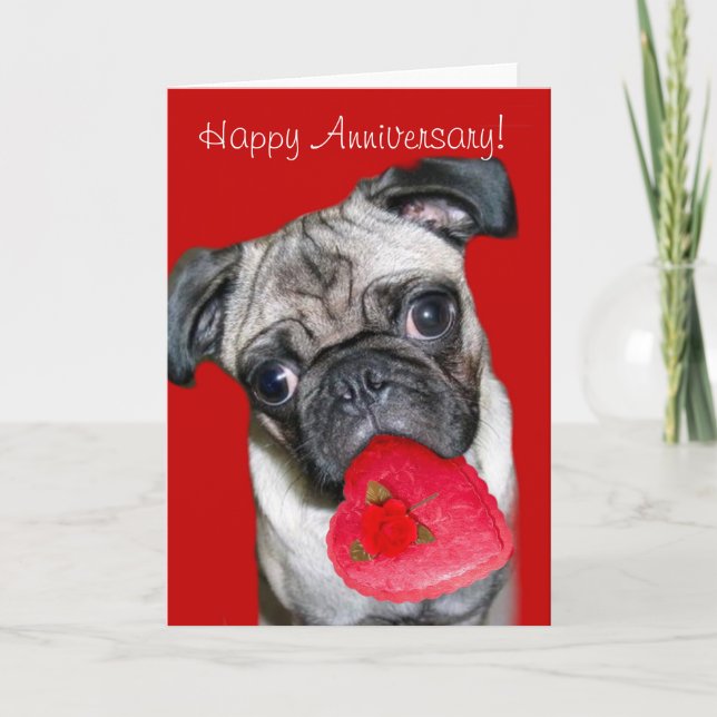 Cartão de aniversário de Pug feliz (Frente)