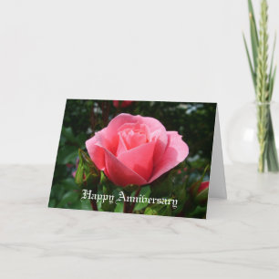 cartão de aniversário de rosa rosa