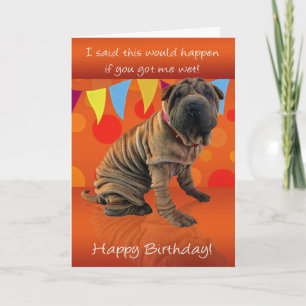 Cartão De Aniversário De Shar Pei Divertido Com Hu