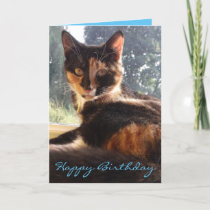 cartão de aniversário de tortie