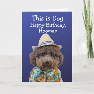 Cartão de aniversário de toy poodle engraçado