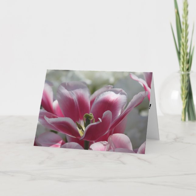 cartão de aniversário de tulipa rosa (Frente)