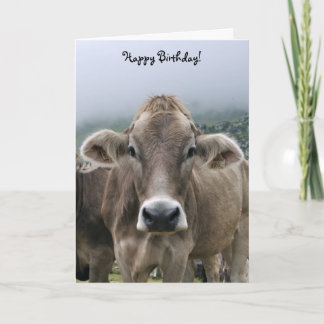 Cartão de aniversário de vaca alpino