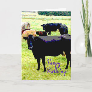 Cartão de aniversário de vaca negra
