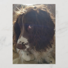 Cartão de aniversário de vazio 5x7