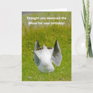 Cartão de aniversário divertido - Cabeça de cabra