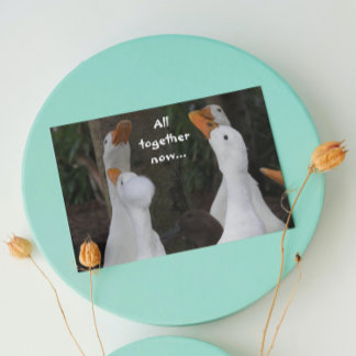 Cartão de Aniversário Divertido com Foto de Patos