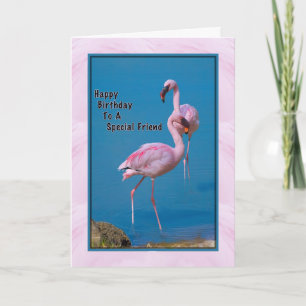 Cartão de Aniversário do Amigo com Flamingo Rosa