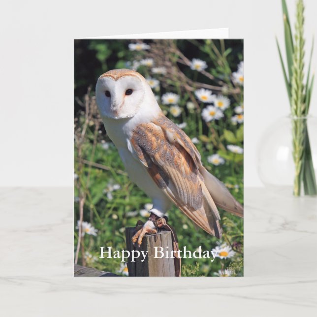 Cartão de Aniversário do Barn Owl (Frente)