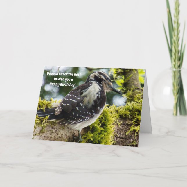 Cartão de Aniversário do Bird Lovers (Frente)
