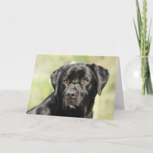 Cartão de Aniversário do Black Labrador