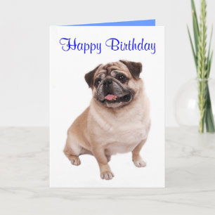 Cartão de Aniversário do Cachorrinho Pug - Verso i