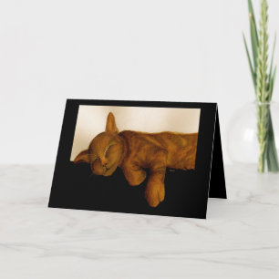 Cartão de Aniversário do Cat Nap