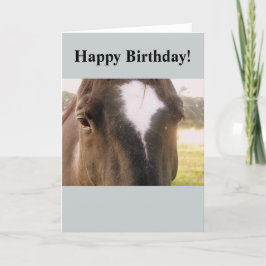 Cartão de Aniversário do Cavalo