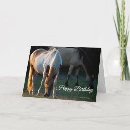 Cartão de Aniversário do Cavalo de Pintura America