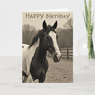 Cartão de Aniversário do Cavalo Nobre