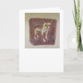 Cartão de Aniversário do Chuihaha Espanhol