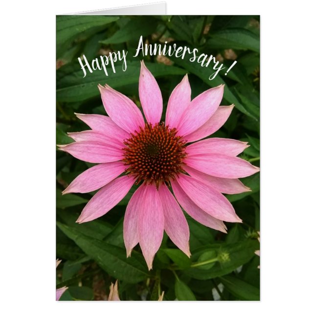 Cartão de Aniversário do ConEFlower Puro Brilhante (Frente)